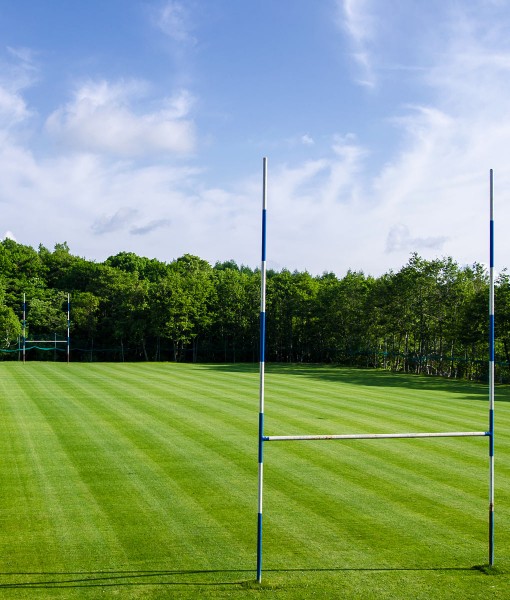 amenity-grass-to-seed-or-repair-a-rugby-field-gss-sf2